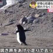 ヒメ日記 2025/08/05 17:24 投稿 まどか（ドМ・巨乳・可愛い） ソープランド ラ・メイド neo