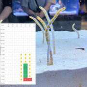 ヒメ日記 2025/08/09 13:44 投稿 まどか（ドМ・巨乳・可愛い） ソープランド ラ・メイド neo