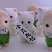 ヒメ日記 2025/08/11 16:39 投稿 まどか（ドМ・巨乳・可愛い） ソープランド ラ・メイド neo