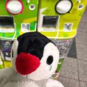 ヒメ日記 2025/09/08 17:54 投稿 まどか（ドМ・巨乳・可愛い） ソープランド ラ・メイド neo