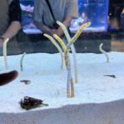 ヒメ日記 2025/09/19 15:24 投稿 まどか（ドМ・巨乳・可愛い） ソープランド ラ・メイド neo