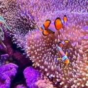 ヒメ日記 2025/09/20 18:54 投稿 まどか（ドМ・巨乳・可愛い） ソープランド ラ・メイド neo