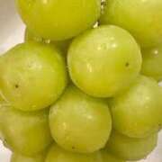 ヒメ日記 2025/09/24 22:24 投稿 まどか（ドМ・巨乳・可愛い） ソープランド ラ・メイド neo