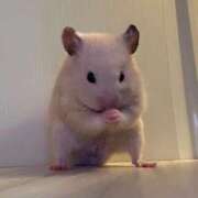 ヒメ日記 2025/10/10 20:04 投稿 まどか（ドМ・巨乳・可愛い） ソープランド ラ・メイド neo