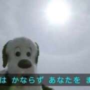 ヒメ日記 2025/11/07 19:34 投稿 まどか（ドМ・巨乳・可愛い） ソープランド ラ・メイド neo