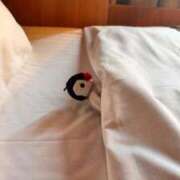 ヒメ日記 2025/12/09 01:54 投稿 まどか（ドМ・巨乳・可愛い） ソープランド ラ・メイド neo