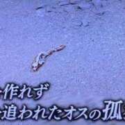 ヒメ日記 2026/06/10 17:44 投稿 まどか（ドМ・巨乳・可愛い） ソープランド ラ・メイド neo