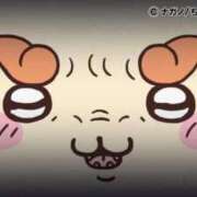 ヒメ日記 2026/07/19 10:14 投稿 まどか（ドМ・巨乳・可愛い） SOAPLAND ZERO BUNNY ℃UTE