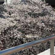 ヒメ日記 2025/04/04 14:27 投稿 美保 変態美熟女お貸しします。