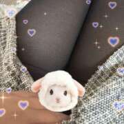 美保 います🫶 変態美熟女お貸しします。