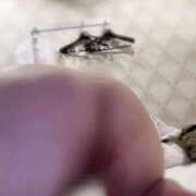 ヒメ日記 2025/09/26 14:08 投稿 める エンジェルマスカット