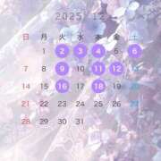 ヒメ日記 2025/11/28 12:01 投稿 るる・SP やまとなでしこ桜組