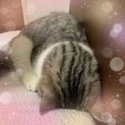 ヒメ日記 2025/03/25 22:24 投稿 かれん 大和人妻城