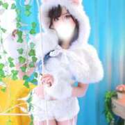 ヒメ日記 2025/11/22 11:39 投稿 らい アネックスジャパン