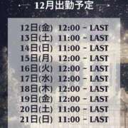 らい ⋆┈ 12月出勤予定 ┈⋆ アネックスジャパン