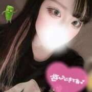 ヒメ日記 2026/02/15 12:30 投稿 らい アネックスジャパン