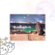 ヒメ日記 2025/07/04 14:20 投稿 こは チューリップ福井本館