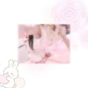 ヒメ日記 2025/07/07 09:19 投稿 こは チューリップ福井本館