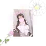 ヒメ日記 2025/05/10 18:25 投稿 こは チューリップ福井別館