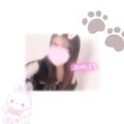 ヒメ日記 2025/05/12 00:14 投稿 こは チューリップ福井別館