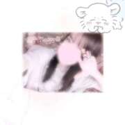 ヒメ日記 2025/09/07 09:24 投稿 こは チューリップ福井別館