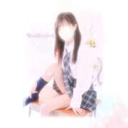 こは 最終日🔥 チューリップ福井別館