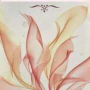 ヒメ日記 2025/03/14 14:56 投稿 山口美雪 五十路マダムエクスプレス横浜店（カサブランカグループ）