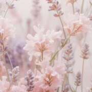 ヒメ日記 2025/03/22 01:08 投稿 山口美雪 五十路マダムエクスプレス横浜店（カサブランカグループ）