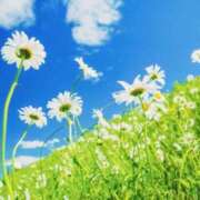 ヒメ日記 2025/03/23 20:46 投稿 山口美雪 五十路マダムエクスプレス横浜店（カサブランカグループ）