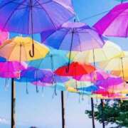 ヒメ日記 2025/04/01 13:16 投稿 山口美雪 五十路マダムエクスプレス横浜店（カサブランカグループ）