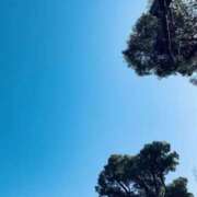 ヒメ日記 2025/04/04 12:46 投稿 山口美雪 五十路マダムエクスプレス横浜店（カサブランカグループ）