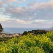 ヒメ日記 2025/04/06 09:50 投稿 山口美雪 五十路マダムエクスプレス横浜店（カサブランカグループ）