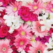 ヒメ日記 2025/04/09 09:28 投稿 山口美雪 五十路マダムエクスプレス横浜店（カサブランカグループ）