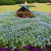 ヒメ日記 2025/05/13 09:54 投稿 山口美雪 五十路マダムエクスプレス横浜店（カサブランカグループ）