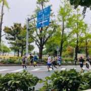 山口美雪 出勤予定 五十路マダムエクスプレス横浜店（カサブランカグループ）