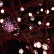 ヒメ日記 2025/03/29 20:59 投稿 小泉ひかり 五反田 必要以上のエステ（シンデレラグループ）