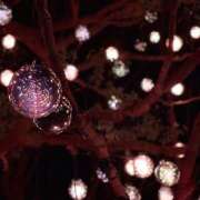 ヒメ日記 2025/04/27 19:37 投稿 小泉ひかり 五反田 必要以上のエステ（シンデレラグループ）