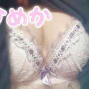 ヒメ日記 2025/05/22 16:30 投稿 ひめか スチュワーデス