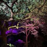 ヒメ日記 2025/04/27 02:18 投稿 めいさ 厚木人妻城