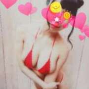 ヒメ日記 2025/04/13 02:14 投稿 ごじょう チューリップ福井別館