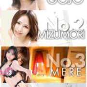 ヒメ日記 2025/05/17 04:24 投稿 ごじょう チューリップ福井別館