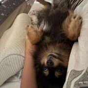 ヒメ日記 2025/10/07 11:54 投稿 ごじょう チューリップ福井別館