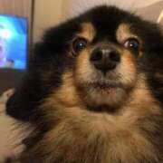 ヒメ日記 2025/10/07 13:04 投稿 ごじょう チューリップ福井別館