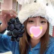 ヒメ日記 2025/10/14 17:23 投稿 ごじょう チューリップ福井別館