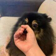 ヒメ日記 2025/05/30 21:34 投稿 ごじょう チューリップ福井本館