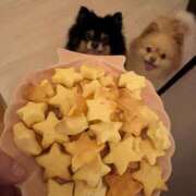 ヒメ日記 2025/05/31 13:51 投稿 ごじょう チューリップ福井本館