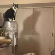 ヒメ日記 2025/09/29 21:14 投稿 ごじょう チューリップ福井本館