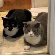 ヒメ日記 2025/10/06 00:04 投稿 ごじょう チューリップ福井本館