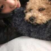 ヒメ日記 2025/11/26 12:54 投稿 ごじょう チューリップ福井本館