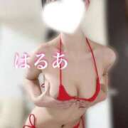 ヒメ日記 2025/04/14 15:20 投稿 はるあ 京都出張メンズエステChou Chou（シュシュ)